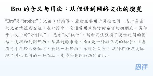 Bro 的含义与用法:从俚语到网络文化的演变
