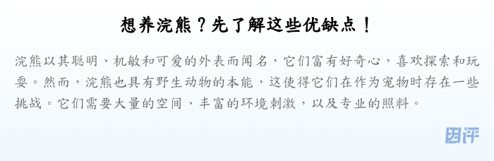 想养浣熊?先了解这些优缺点!