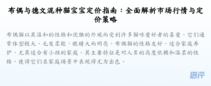 布偶与德文混种猫宝宝定价指南:全面解析市场行情与定价策略
