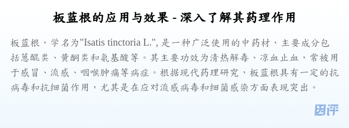 板蓝根的应用与效果 - 深入了解其药理作用