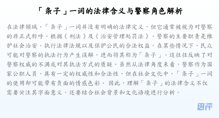 「条子」一词的法律含义与警察角色解析