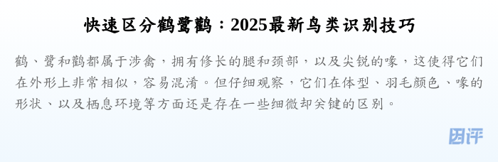 快速区分鹤鹭鹳:2025最新鸟类识别技巧