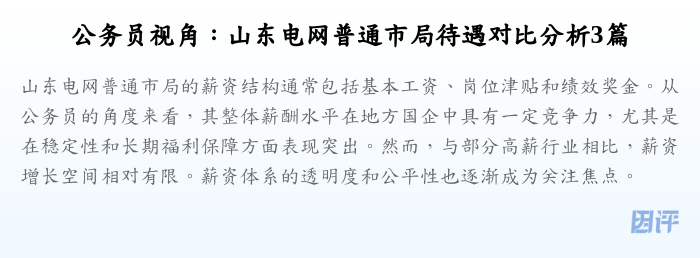 公务员视角:山东电网普通市局待遇对比分析3篇