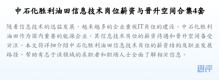 中石化胜利油田信息技术岗位薪资与晋升空间合集4套