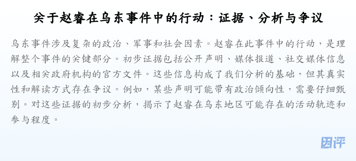 关于赵睿在乌东事件中的行动:证据、分析与争议