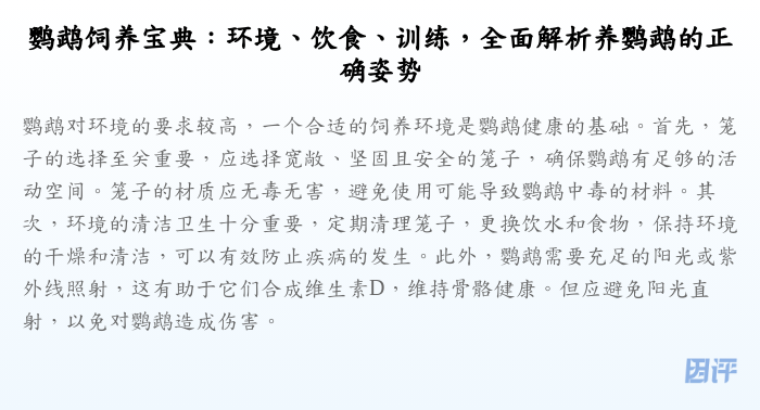 鹦鹉饲养宝典:环境、饮食、训练,全面解析养鹦鹉的正确姿势