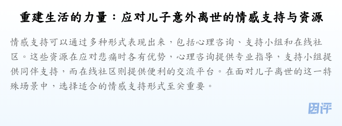 重建生活的力量:应对儿子意外离世的情感支持与资源