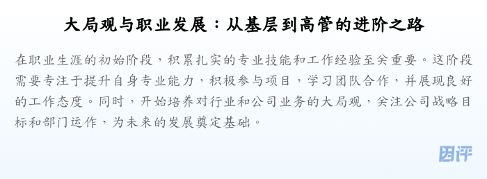 大局观与职业发展:从基层到高管的进阶之路