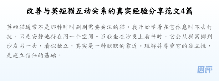 改善与英短猫互动关系的真实经验分享范文4篇