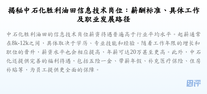 揭秘中石化胜利油田信息技术岗位:薪酬标准、具体工作及职业发展路径