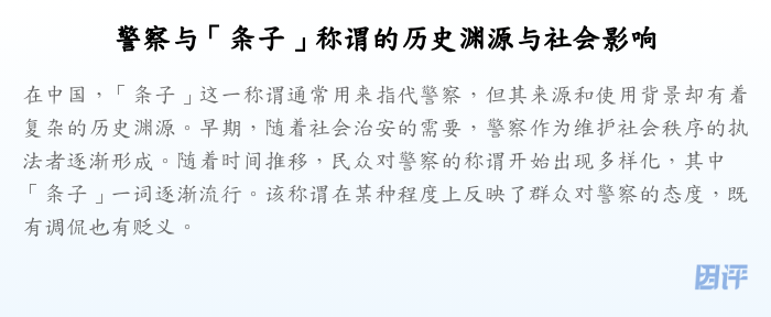 警察与「条子」称谓的历史渊源与社会影响