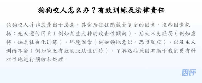 狗狗咬人怎么办?有效训练及法律责任