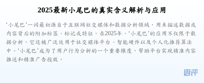 2025最新小尾巴的真实含义解析与应用