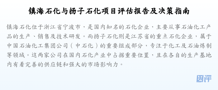 镇海石化与扬子石化项目评估报告及决策指南