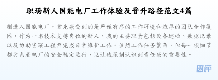 职场新人国能电厂工作体验及晋升路径范文4篇