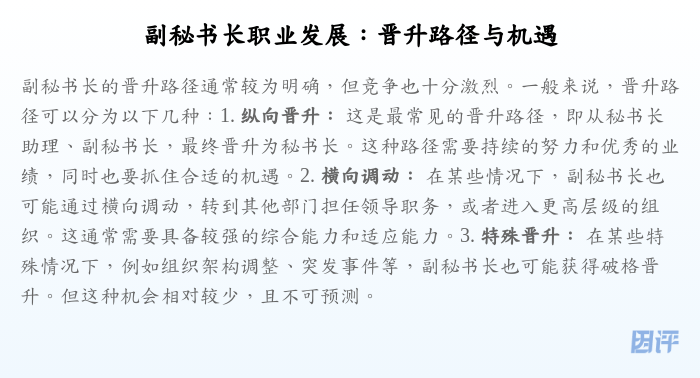 副秘书长职业发展：晋升路径与机遇