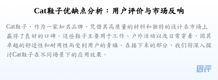 Cat鞋子优缺点分析：用户评价与市场反响
