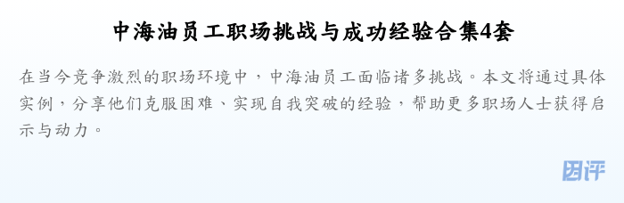中海油员工职场挑战与成功经验合集4套