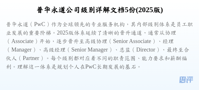 普华永道公司级别详解文档5份(2025版)