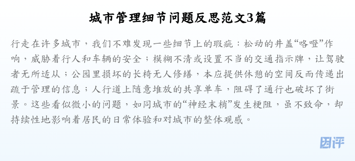 城市管理细节问题反思范文3篇
